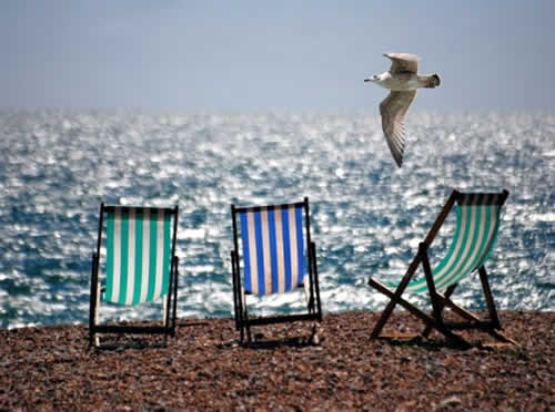 Hamacas en la playa y gaviota volando